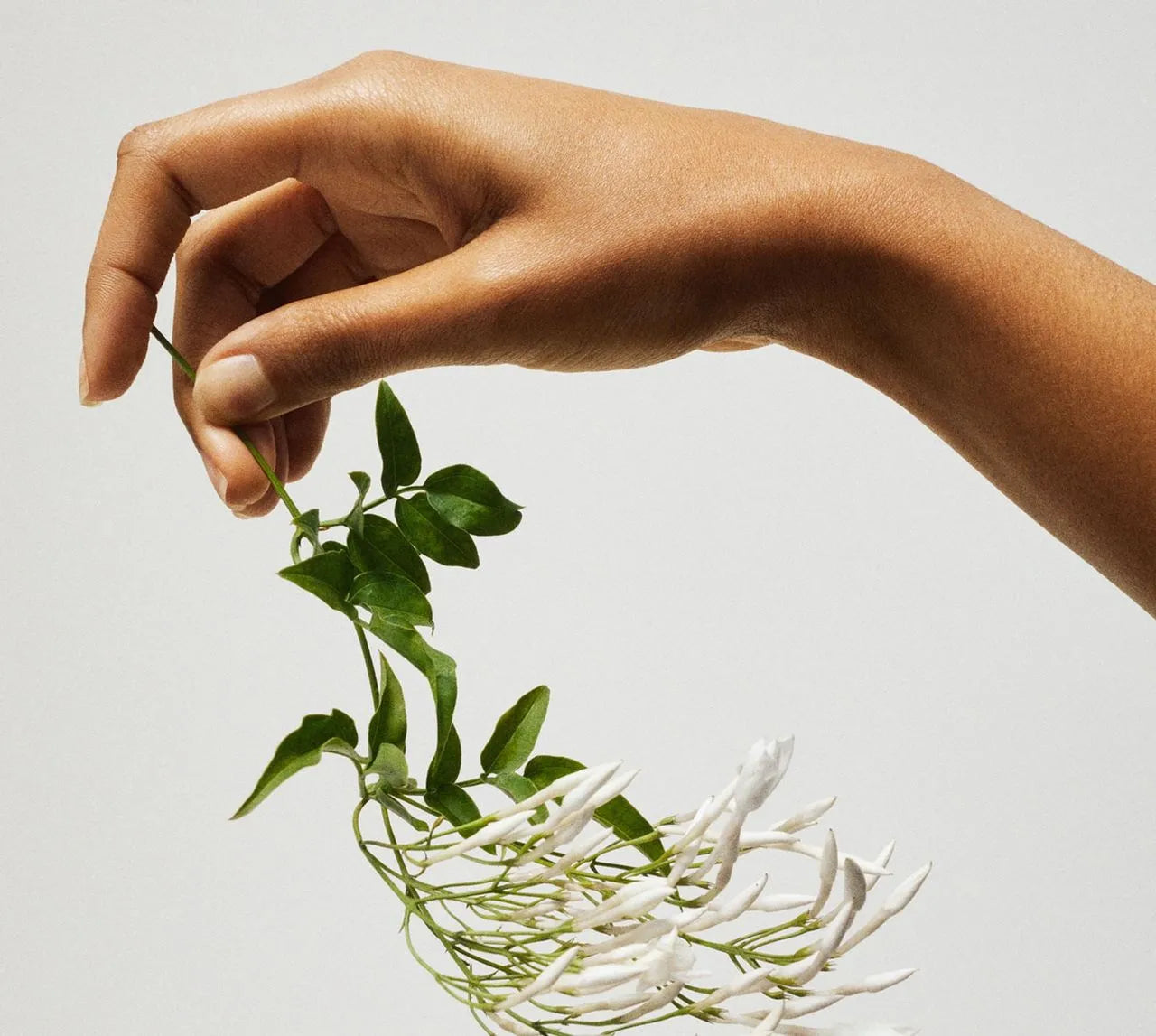 Perfume Tommy girl Dama 100 ml