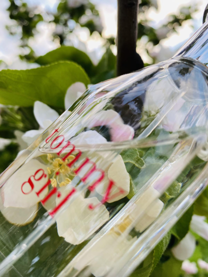 Perfume Tommy girl Dama 100 ml